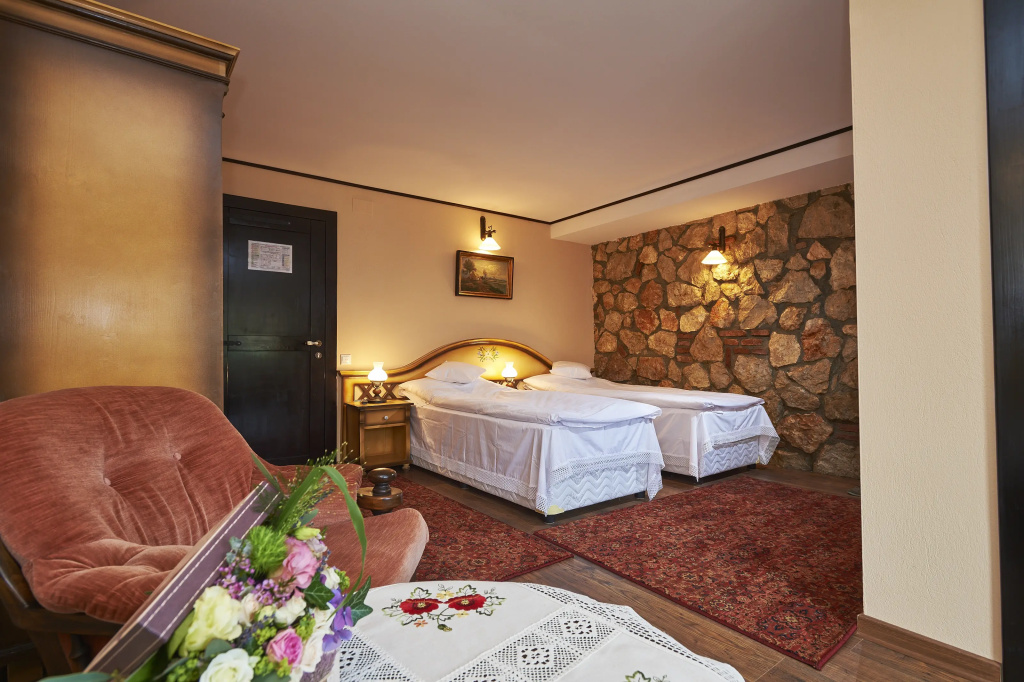 Conacul Ambient - Chambres