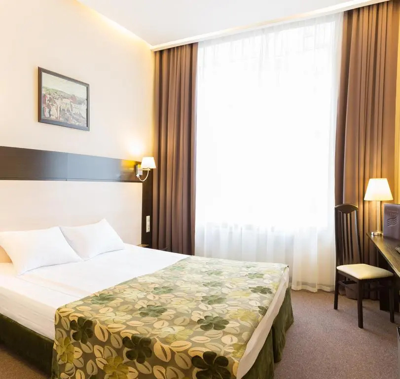 Vorontsovskij Hotel Room Type - Comfort Double room full double bed