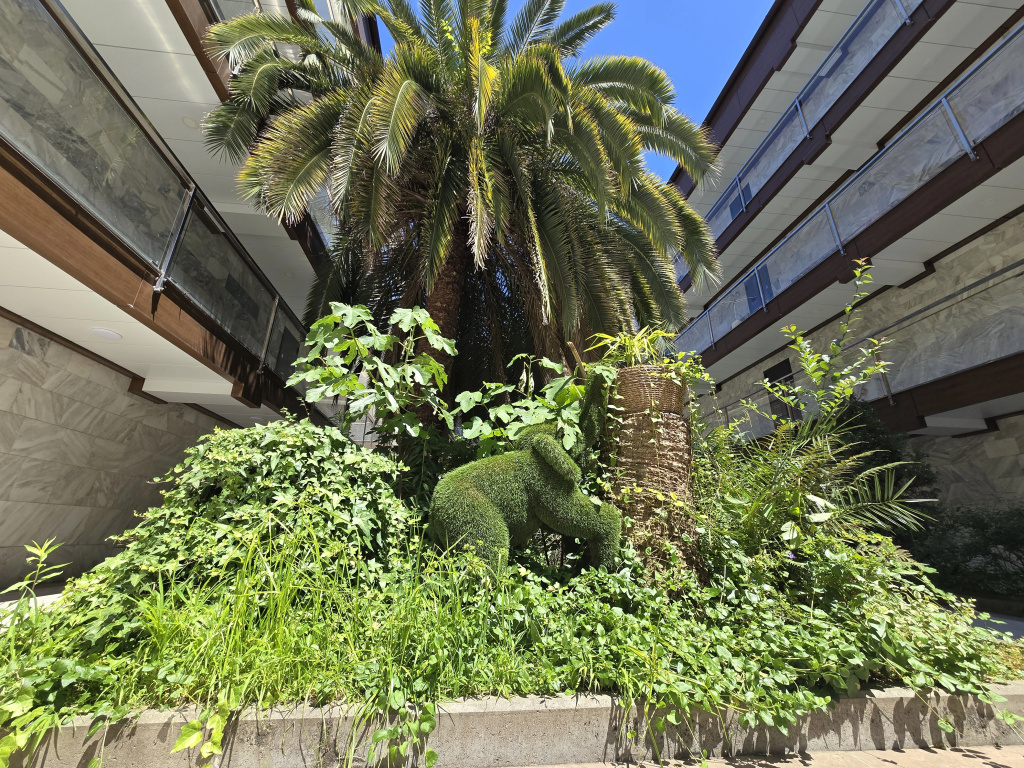 Hotel photo 19