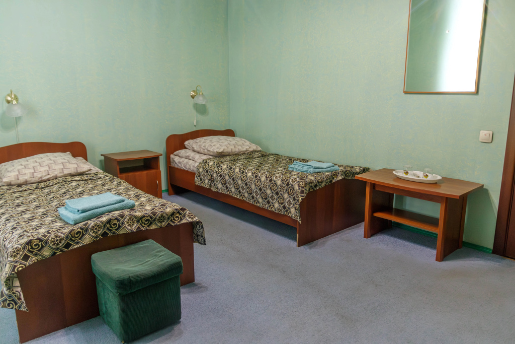 Standard Double room (twin beds)