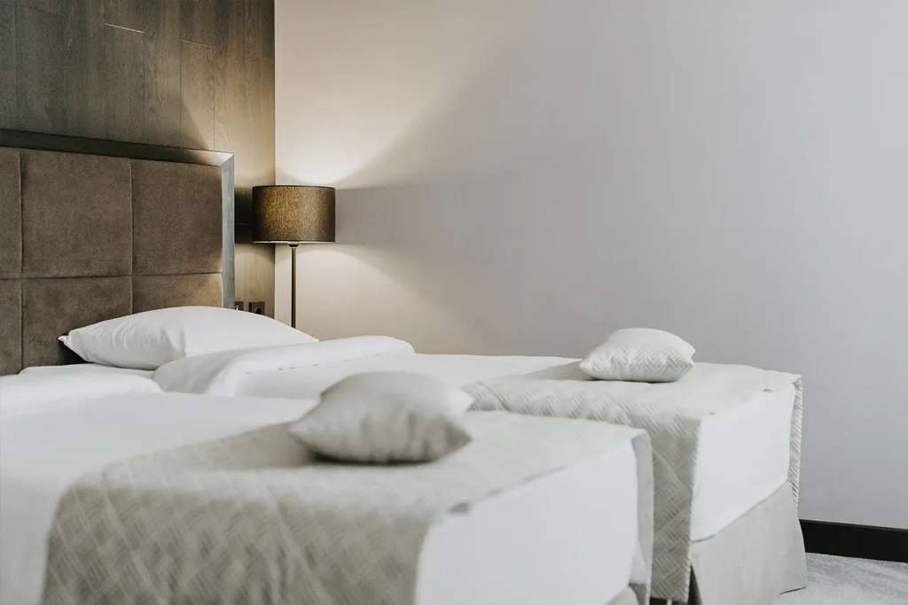 Standard Double room (twin beds)