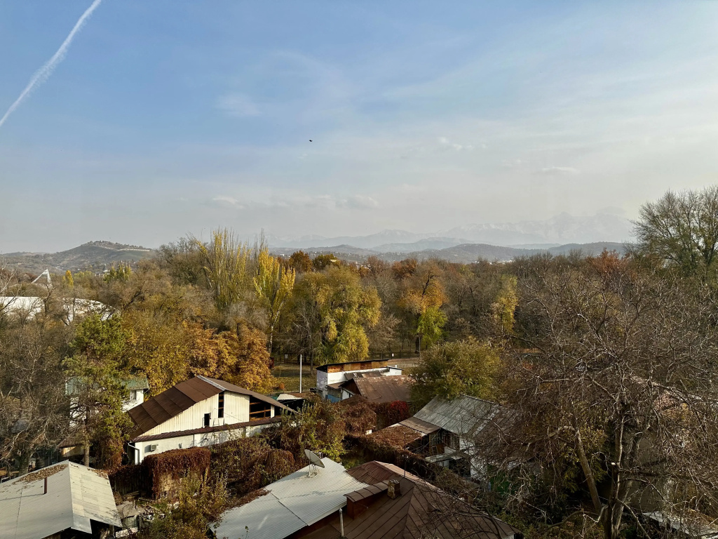 Uyutnaya Studiya Vozle Parka S Vidom Na Gory Flat