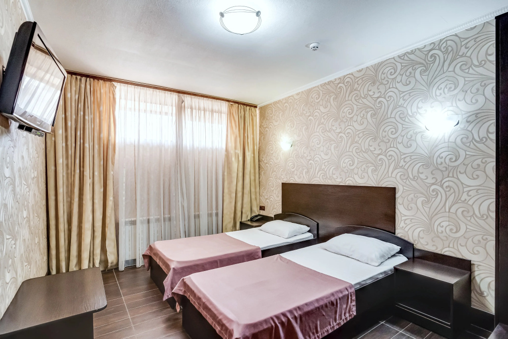 Standard Double room (twin beds)