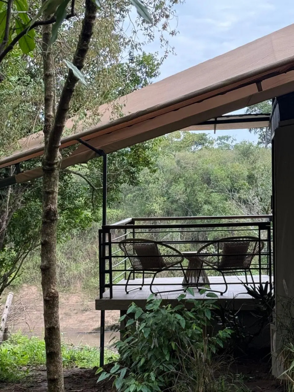 Surana Mara Camp Hotel