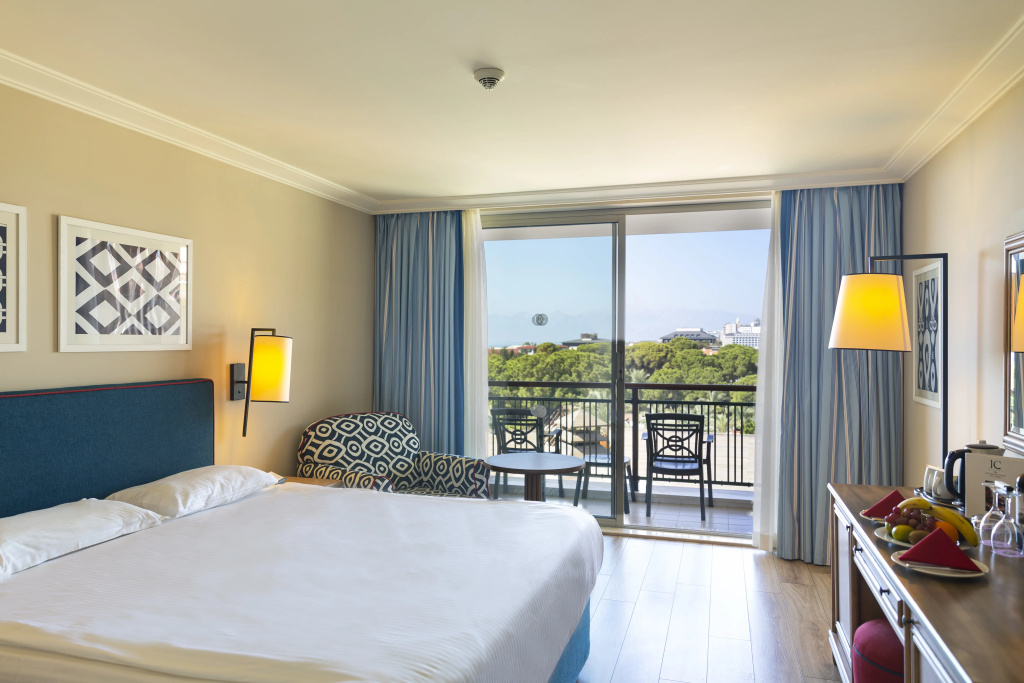 Double room with balcony (full double bed)