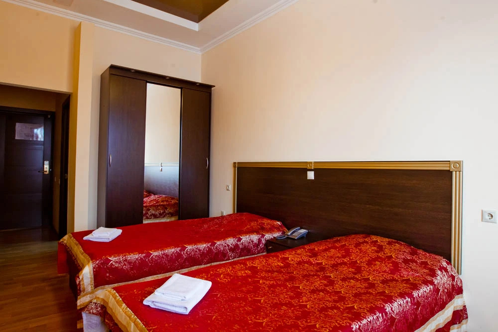 Standard Double room (twin beds)