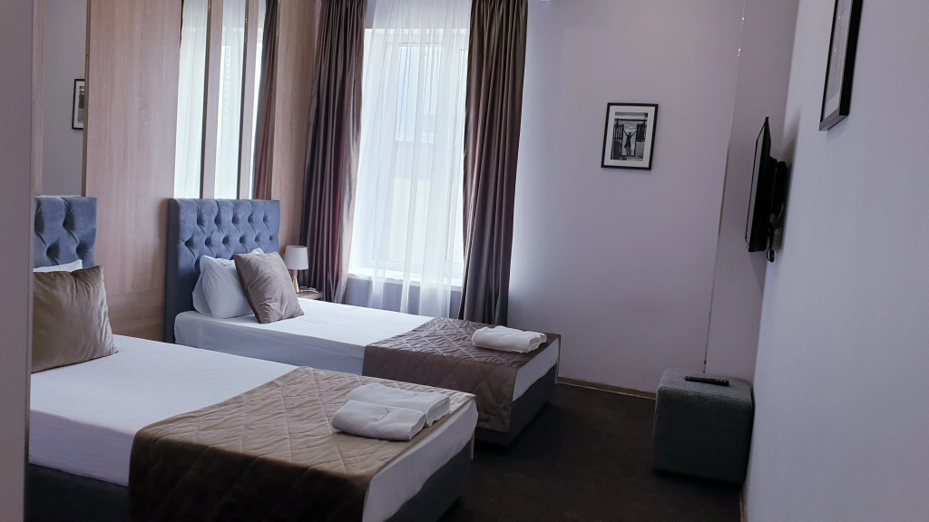 Standard Double room (twin beds)