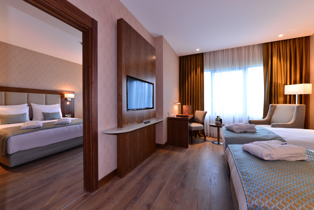 Отель Clarion Istanbul Mahmutbey - фото 8