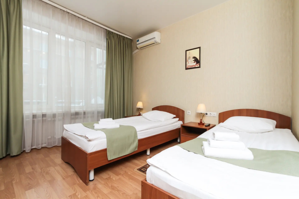 Standard Double room with city view (twin beds)