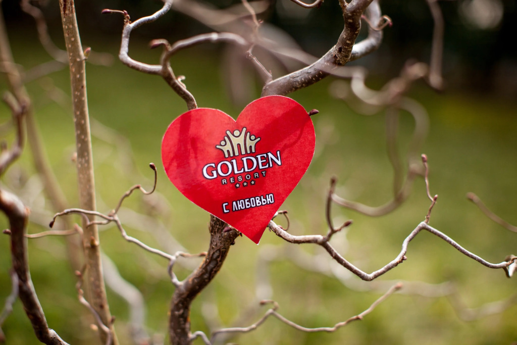 Отель Golden Family Resort - фото 2