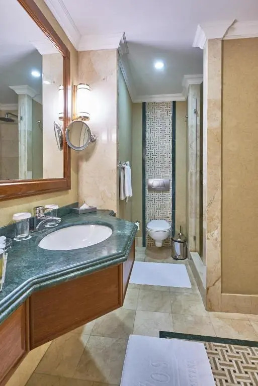 Двухместный номер Deluxe с видом на город двуспальная кровать в Rixos President Astana