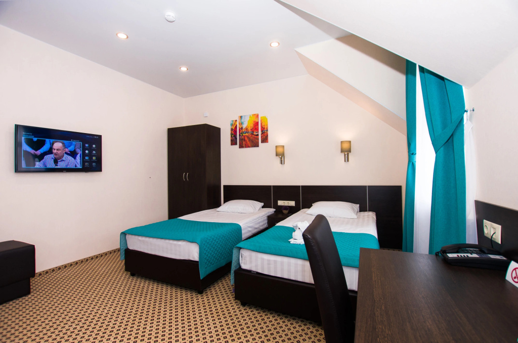 Brown Hotel Room Type - Superior Double room with city view twin beds