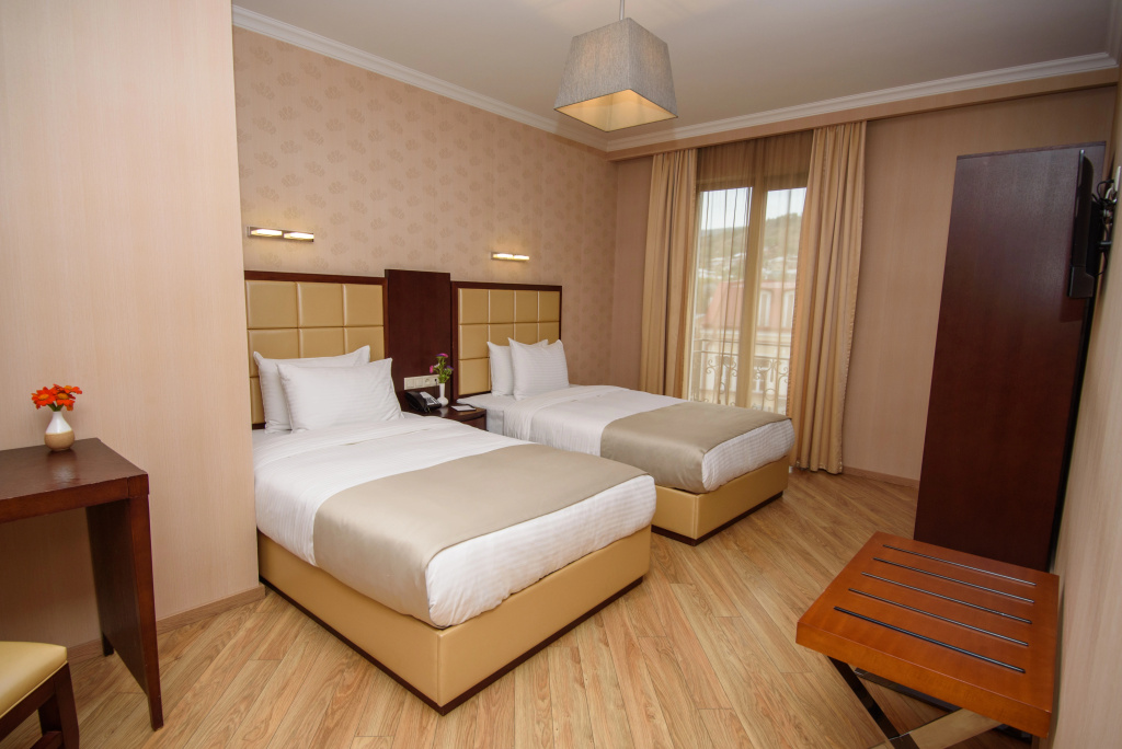 Standard Double room with city view (twin beds)