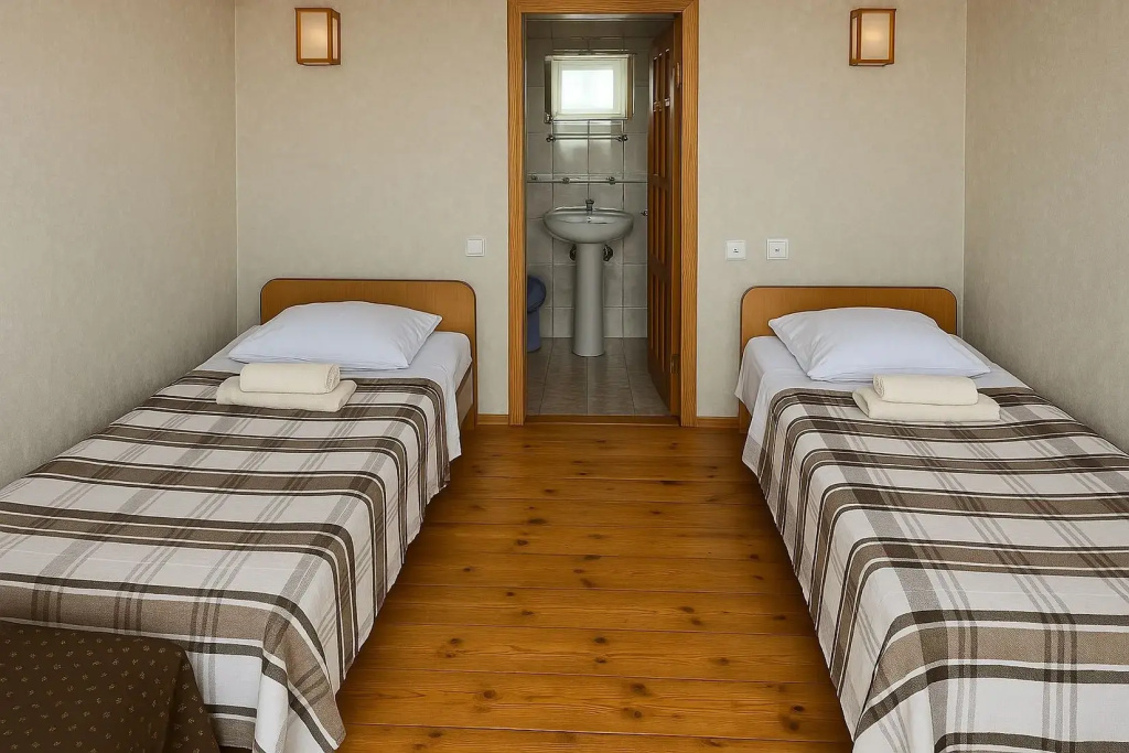 Standard Double room with balcony and with view (twin beds)