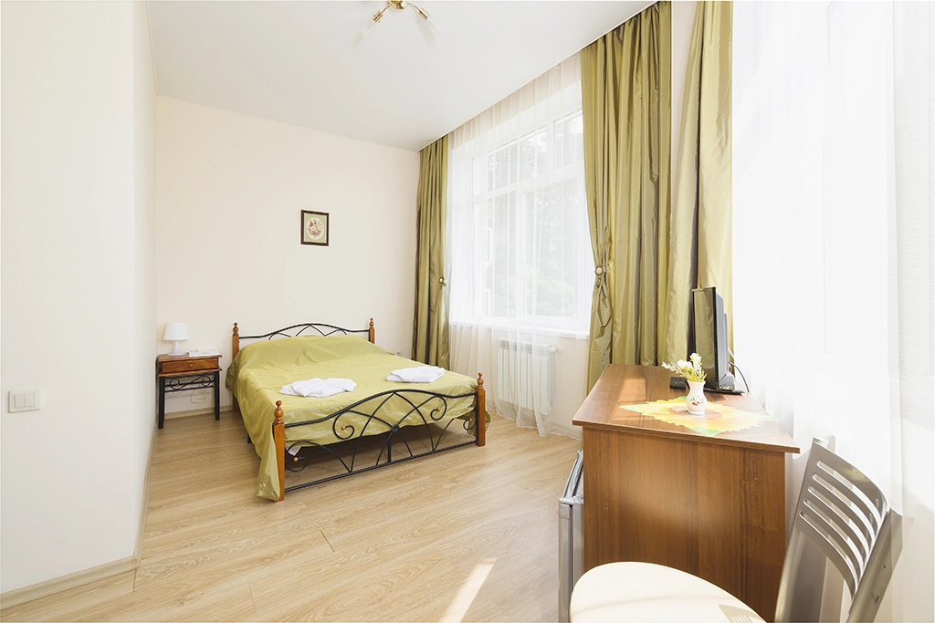 Standard Plus Double room (full double bed)