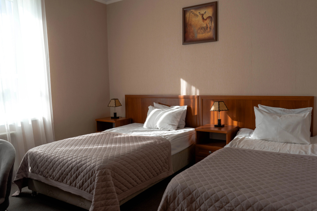 Comfort Double room (twin beds)