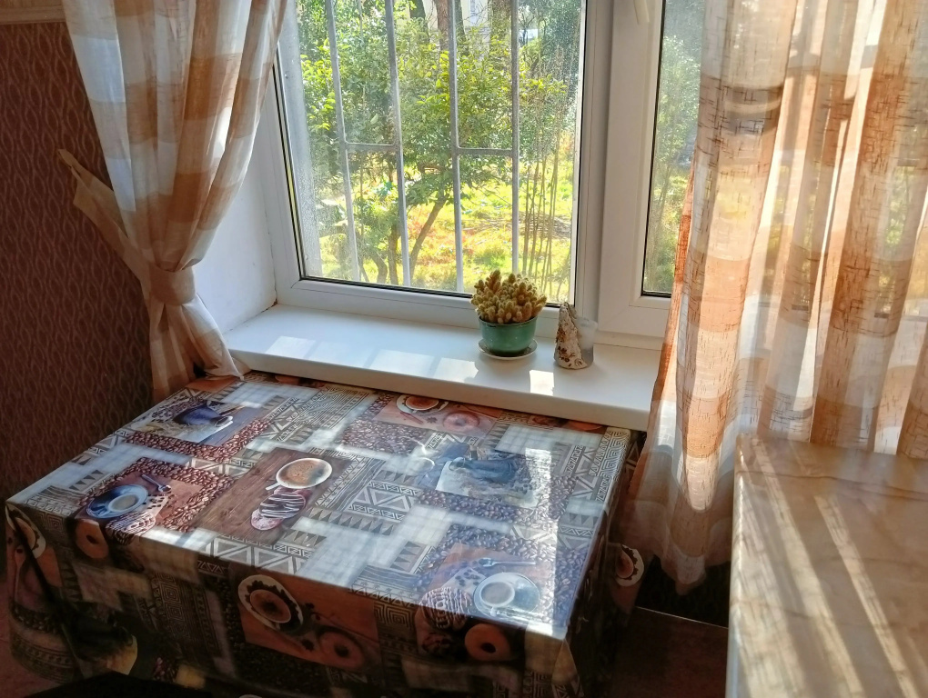 Odnokomnatnaya Flat