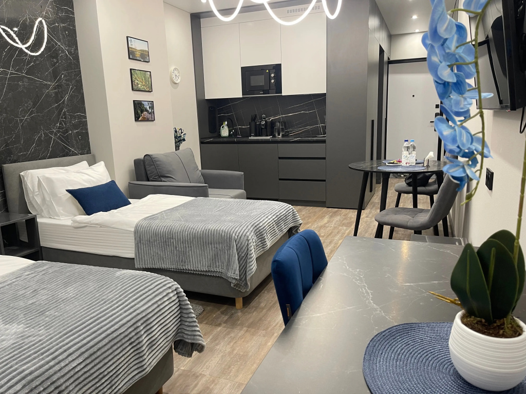 Апартаменты на Родионова Элегия — фото