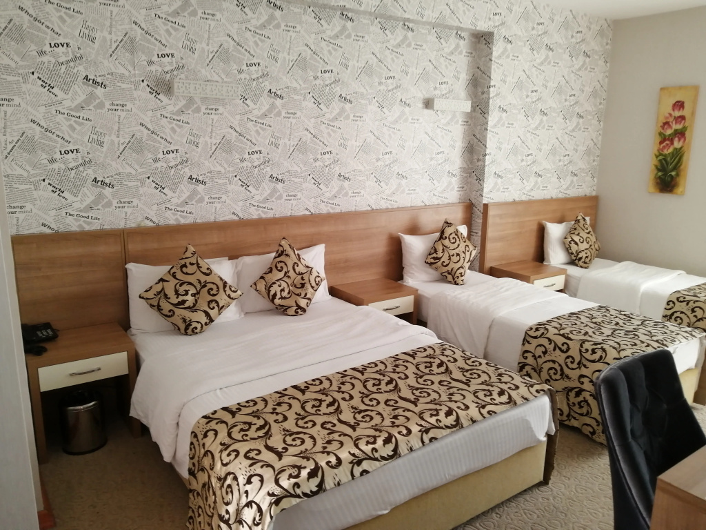 Standard Triple room with city view