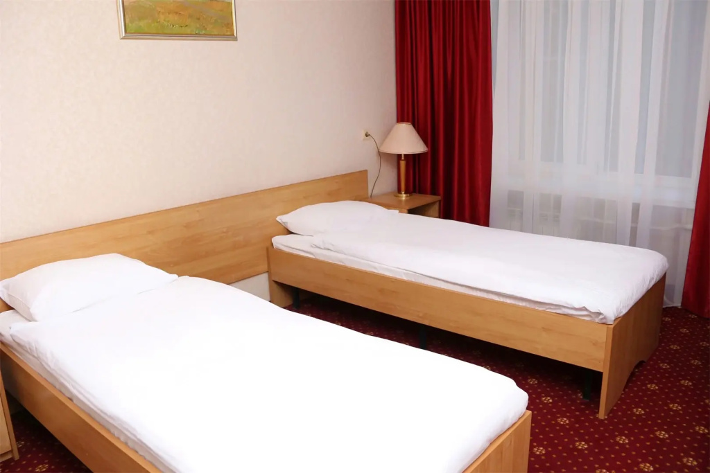 Amaks Voronezh Park Hotel Room Type - Economy Double twin beds