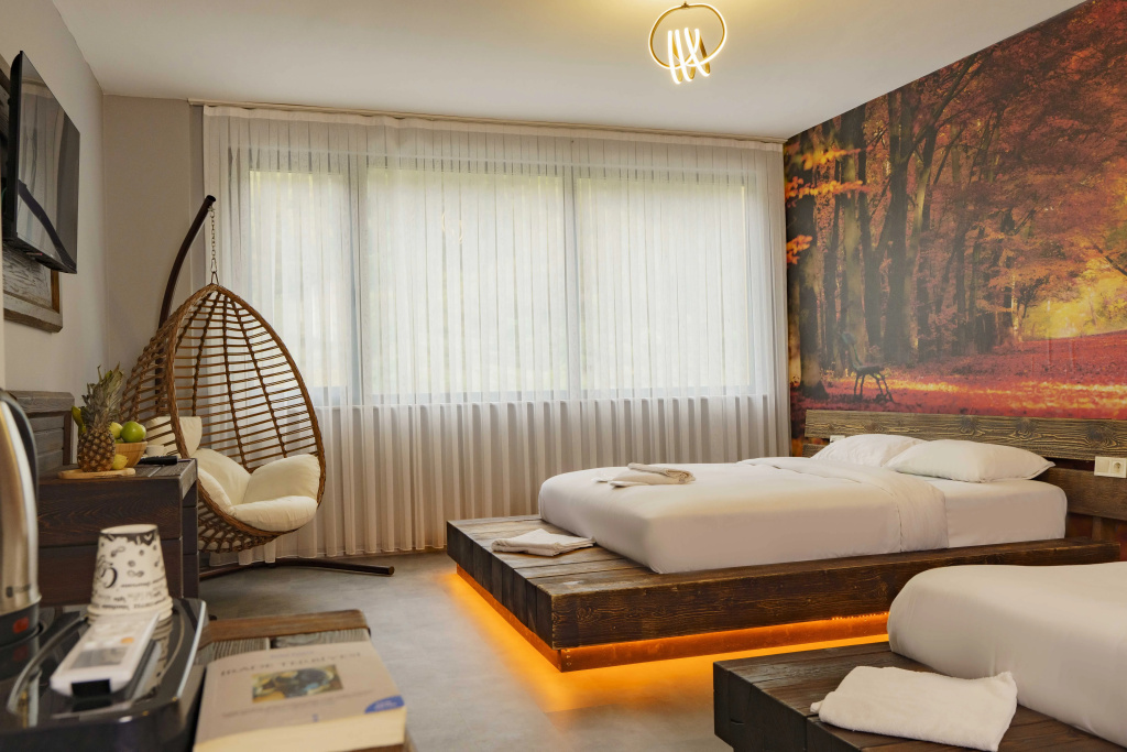 Standard Double room (full double bed)