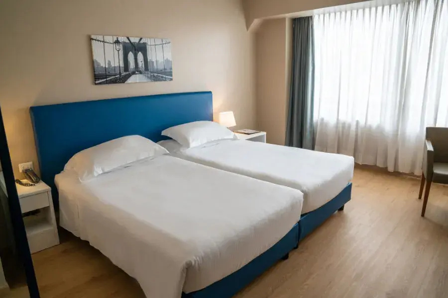 Superior Twin room (twin beds)