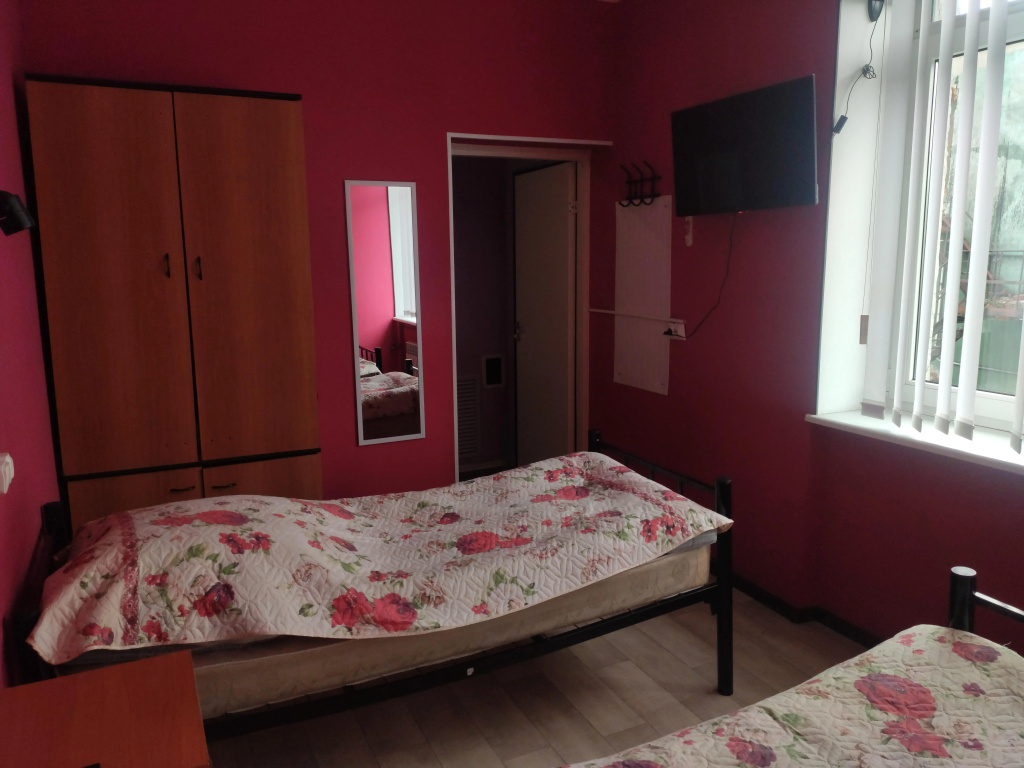 Deluxe Double room (twin beds)