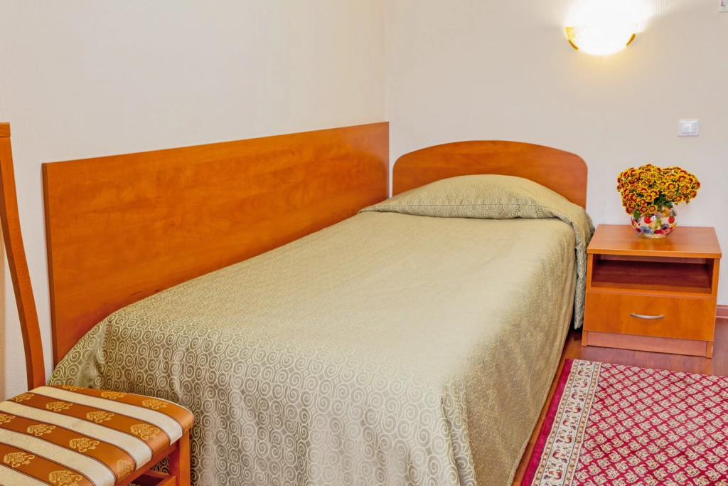 Standard Single room with city view