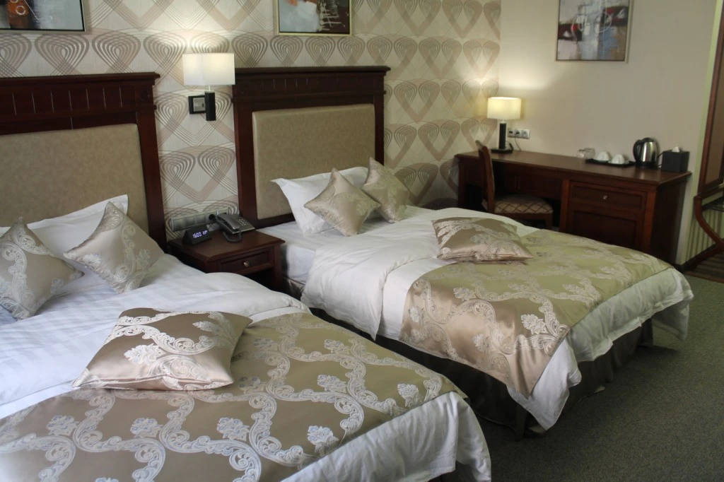 Sky Tsentr Hotel Room Type - Standard Double room twin beds