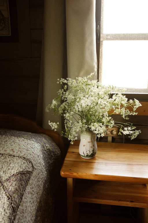 Частный дом Гостевой Дом с единорогом в Ферапонтово - фото 14