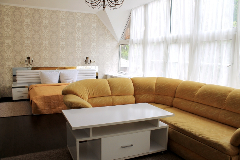 Deluxe Double Attic Studio (full double bed)