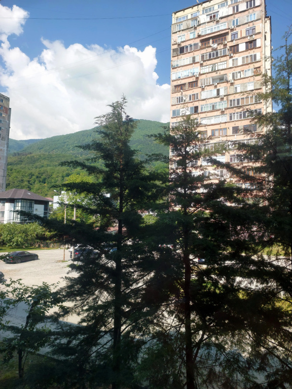 Uyutnaya V Tsentre G Gagra Flat