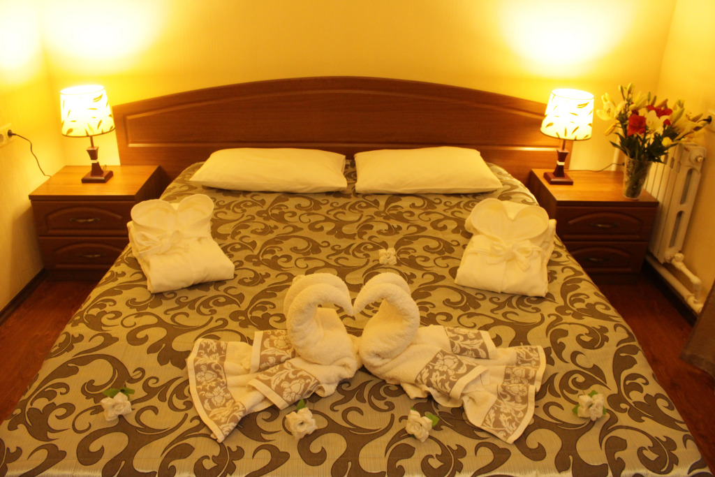 Отель Алтынай - фото 16