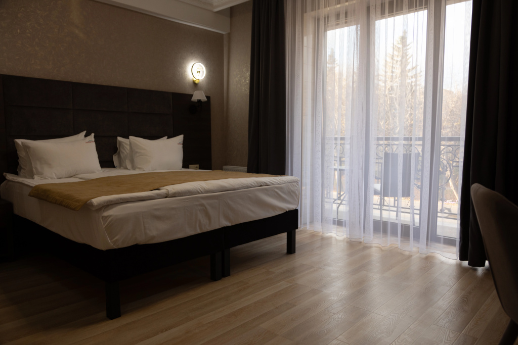 Predgorye Hotel Room Type - Standard Double room with balcony full double bed