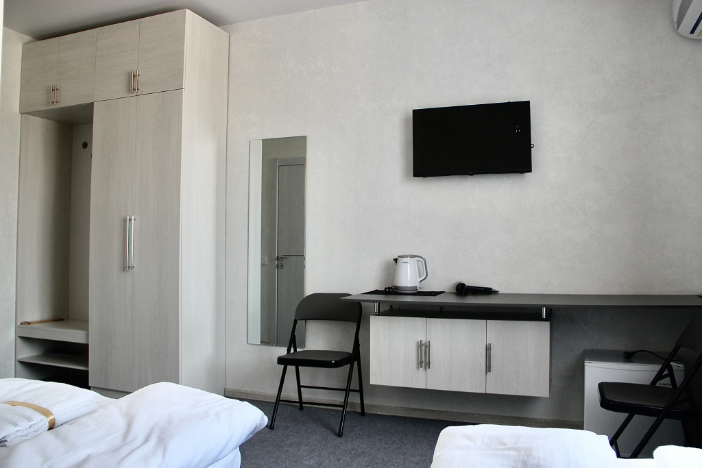 Standard Double room with city view (twin beds)