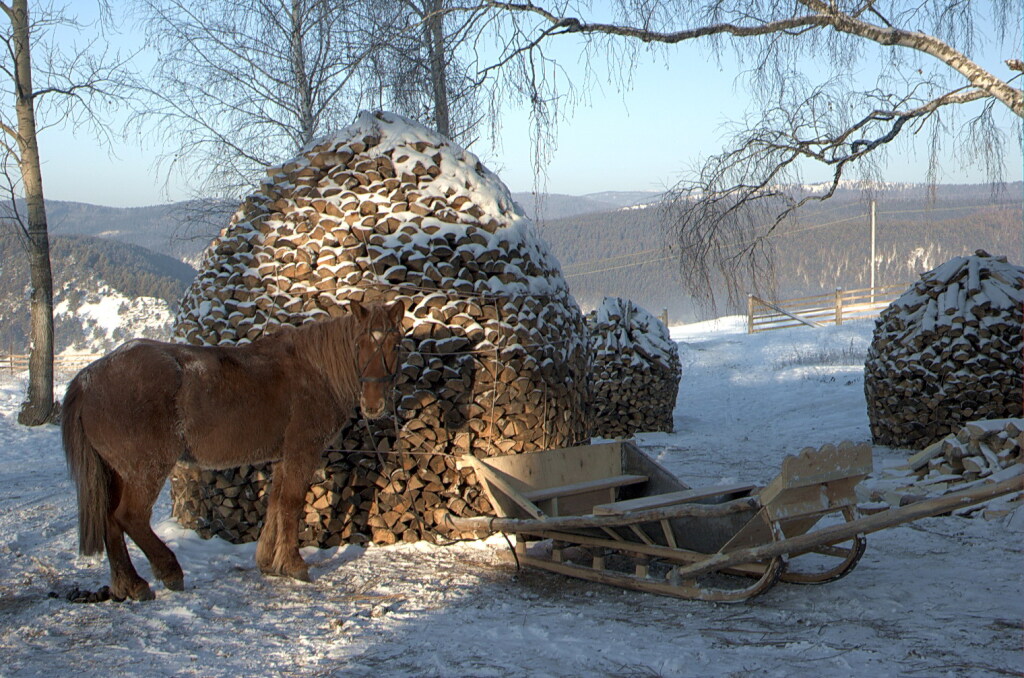 Конно санный тур снежный крака