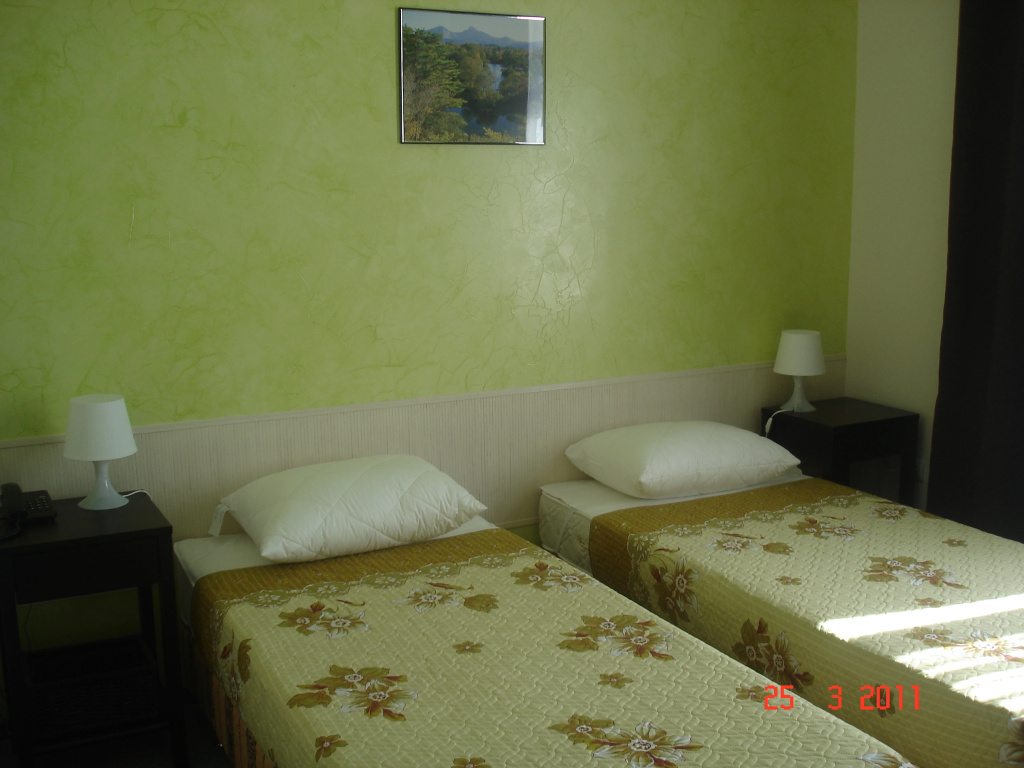 Economy Double room with city view (twin beds)