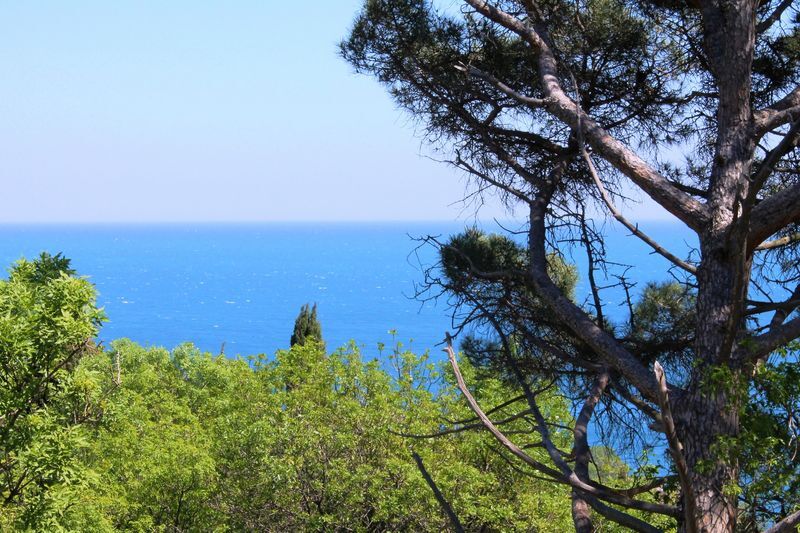 Гостевой дом Радмир - фото 12