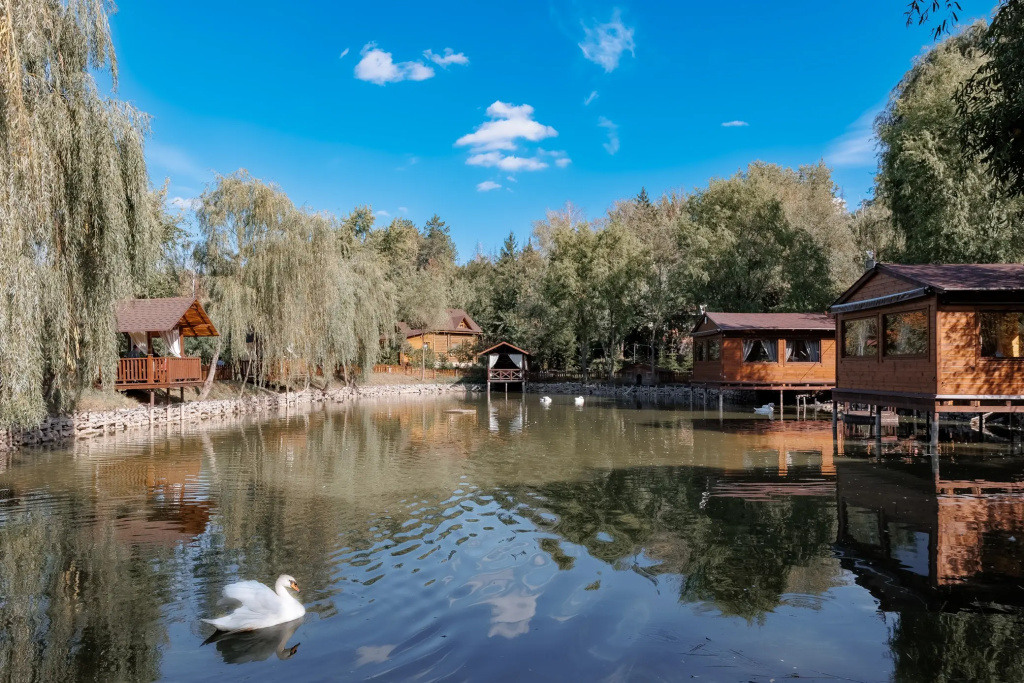 Poiana Bradului Complex Hotelier & Restaurant Resort - Général