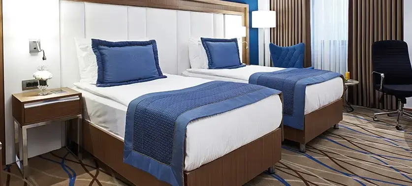 Superior Double room (twin beds)