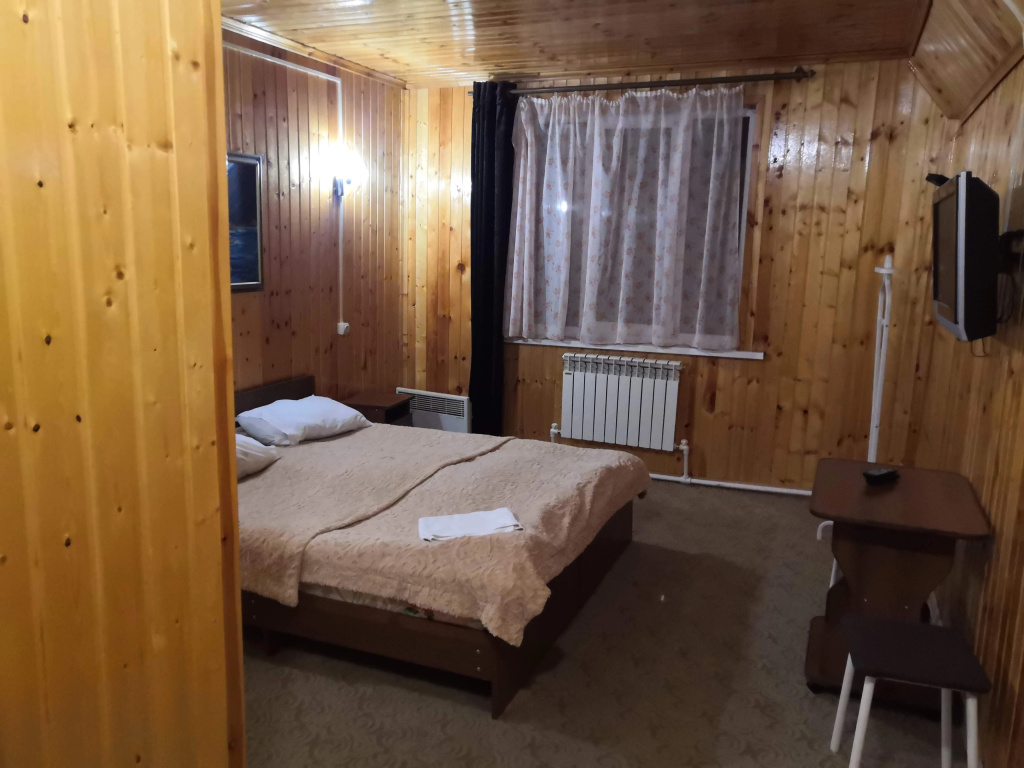 Standard Double room with mountain view (full double bed)