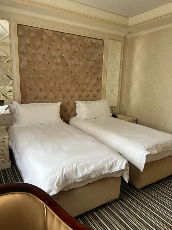 Deluxe Double room (twin beds)