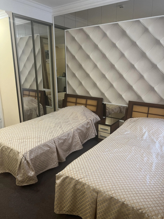 Standard Double room with city view (twin beds)