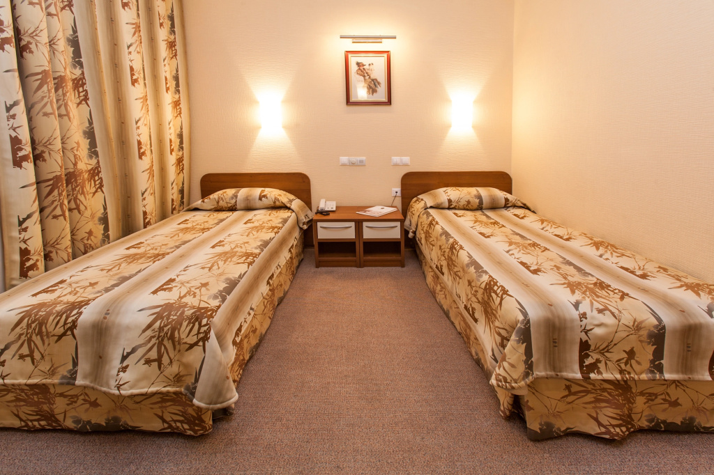 Standard Double room (twin beds)