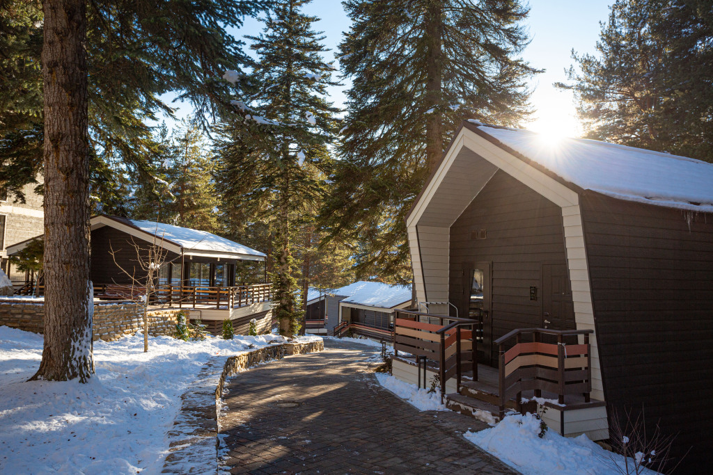 архыз аура экотель. бизон архыз отель. софийские вершины архыз отель. вилла шале архыз. заимка россия белокуриха.