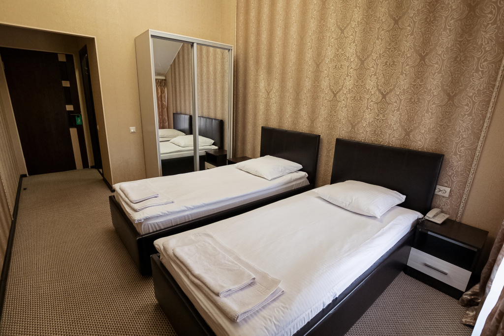 Ray Hotel Room Type - Standard Double room with city view twin beds
