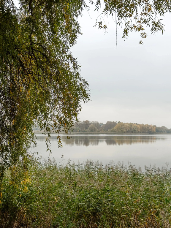 Кемпинг Берег Желаний - фото 31
