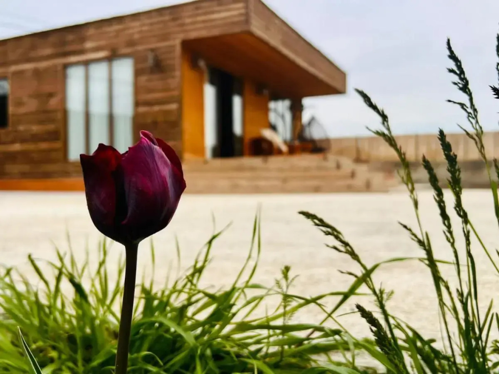 Villa Eco house villa jeo