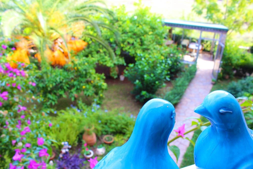 Hotel photo 20
