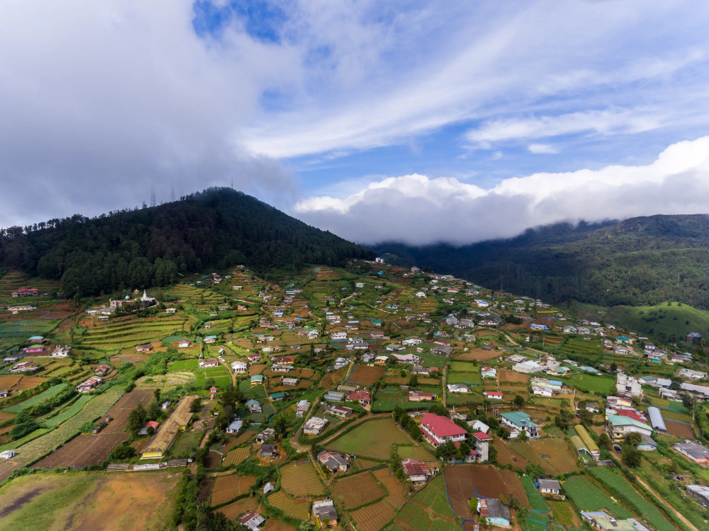 Бутик-отель Oliphant Boutique Villa by Amaya - фото 4